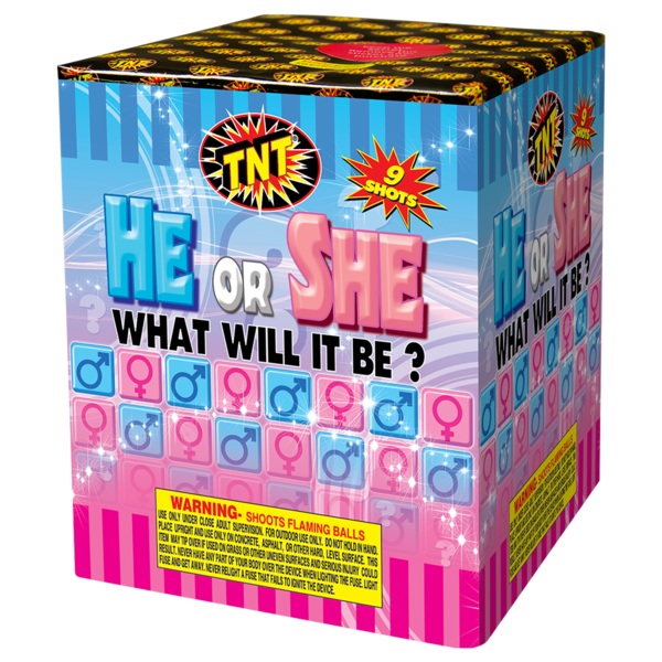 HE OR SHE WHAT WILL IT BE? GIRL Firework Multi Aerials He Or She What Will It Be? Girl