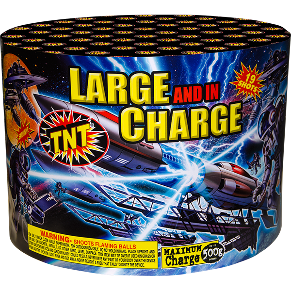 Large and in Charge 500 Gram Firework Finale Aerials Large And In Charge