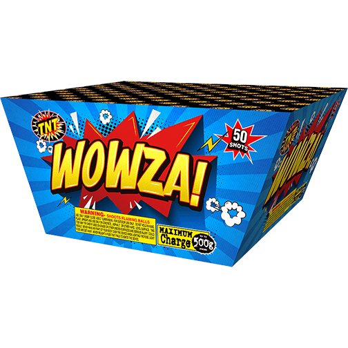 WOWZA! 500 Gram Firework Finale Aerials Wowza!