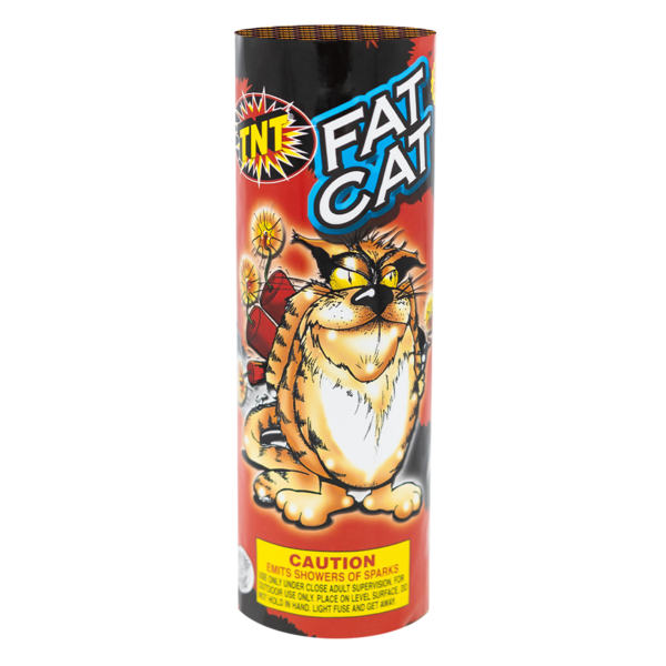 FAT CAT Firework Fountains Fat Cat