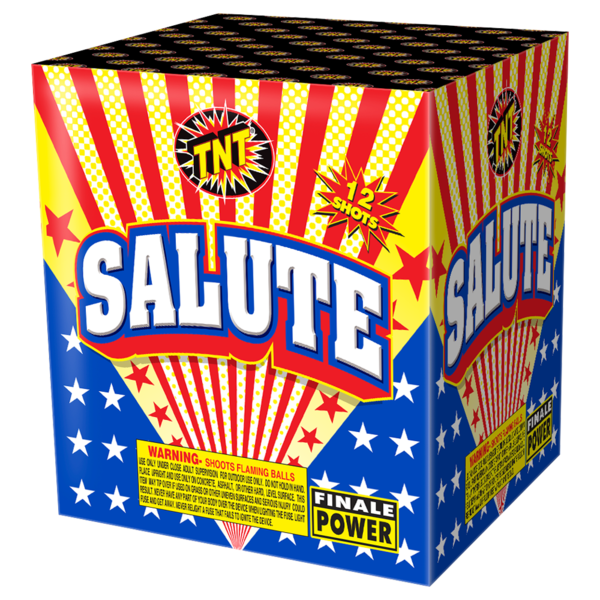 SALUTE 500 Gram Firework Finale Aerials Salute